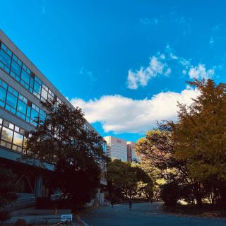 今日は年に一度の家事セラピスト総会です。今年も笑顔のうれしい1日となります。

#毎年同じ日に同じ場所で #辰巳渚さんお誕生日 #日比谷紅葉 #家事塾